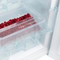 Холодильник Snaige RF 31 SMS0002E