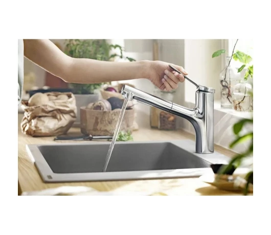 Змішувач для кухні Hansgrohe Zesis M33 (74800000)