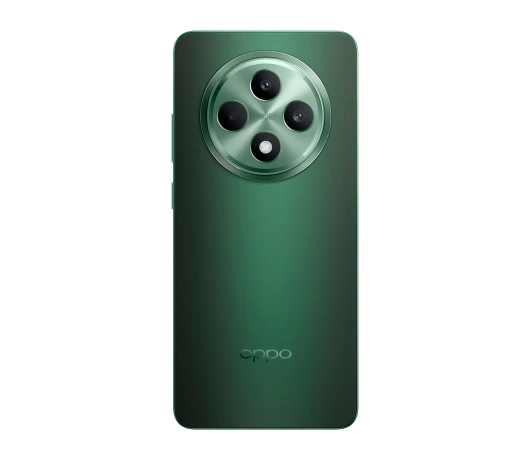 Смартфон Oppo Reno 12 F 5G 8/256GB Black Green