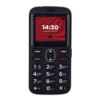 Мобильный телефон ERGO R201 Dual Sim