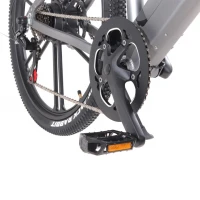 Електровелосипед Maxxter RANGER (gray)