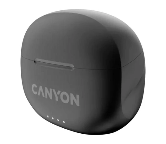 Наушники Canyon TWS-8 Black (CNS-TWS8B)