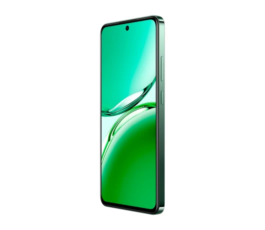 Смартфон Oppo Reno 12 F 5G 8/256GB Black Green