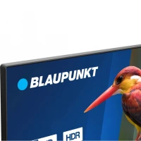 Телевизор Blaupunkt 32FBC5000