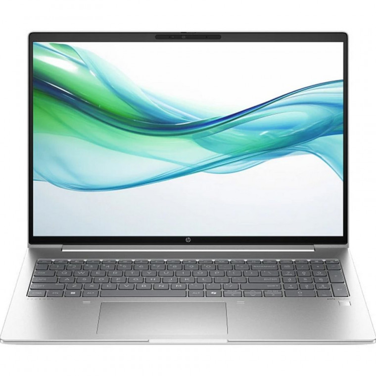 Ноутбук HP ProBook 465 G11 (AD1X1ET) Pike Silver