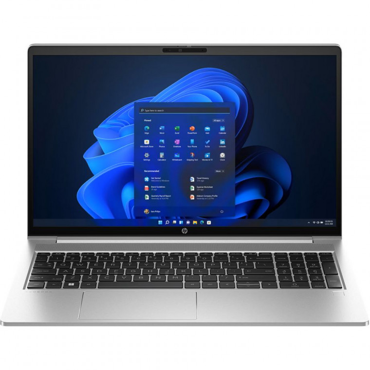 Ноутбук HP ProBook 455 G10 (719F6AV_ITM1) Pike Silver