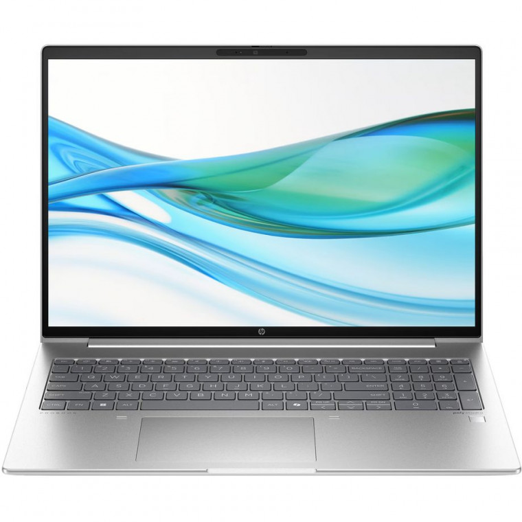 Ноутбук HP ProBook 460 G11 (AD1X2ET) Pike Silver