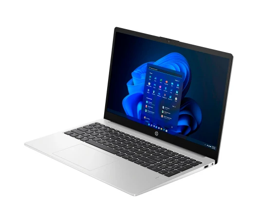 Ноутбук HP 250 G10 (8D4L3ES) Turbo Silver