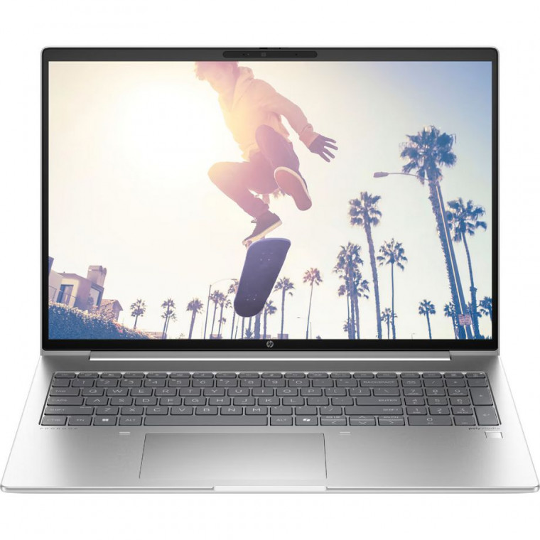 Ноутбук HP ProBook 460 G11 (8Z677AV_ITM1) Pike Silver