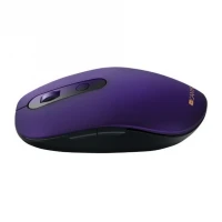 Мишка CANYON CNS-CMSW09V Wireless Violet