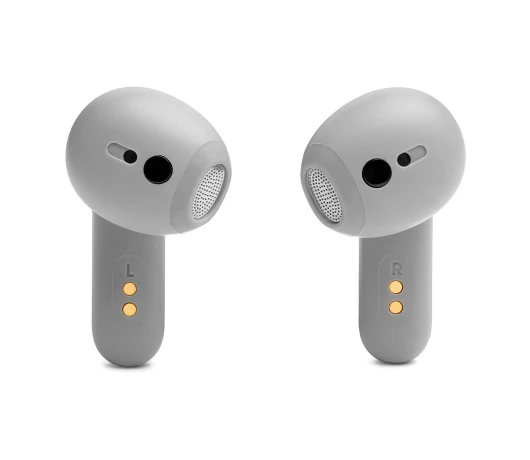 Навушники JBL Live Flex Silver (JBLLIVEFLEXSVR)