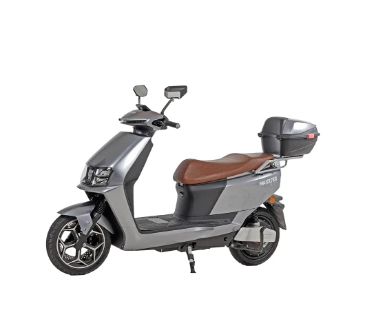 Електроскутер Maxxter LUMINA Silver