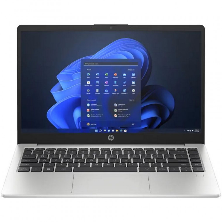 Ноутбук HP 245 G10 (AD1Y0ET) Turbo Silver