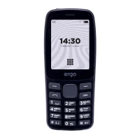 Мобильный телефон ERGO B241 Dual Sim